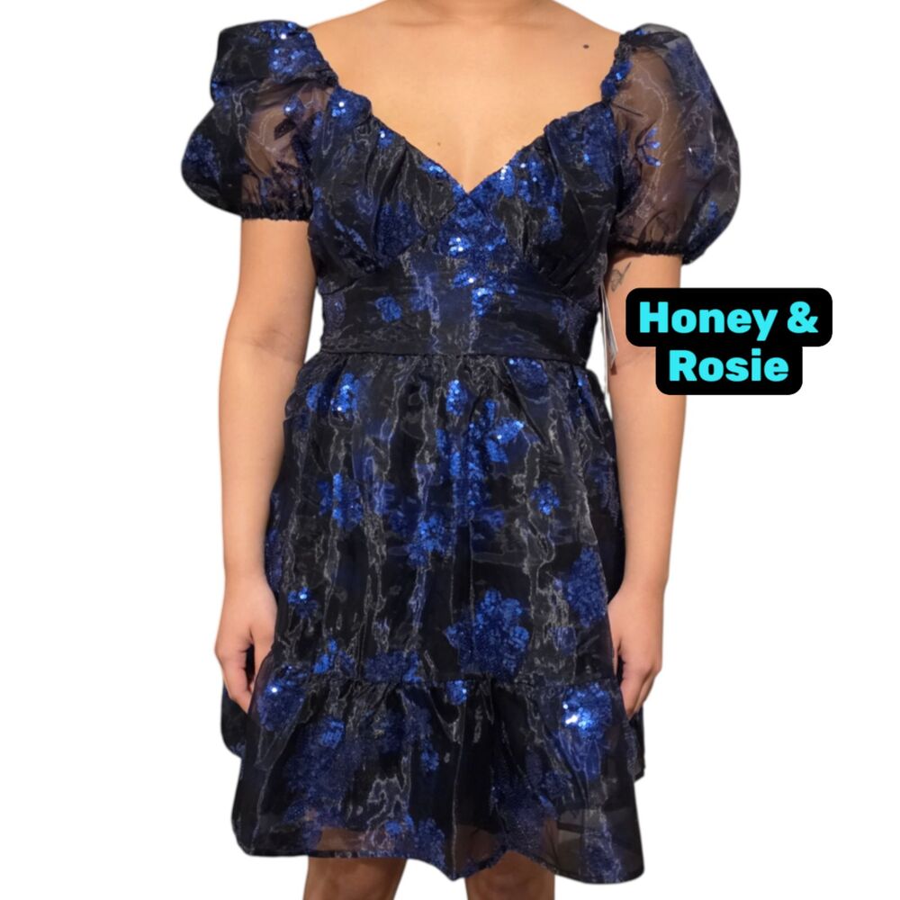 Honey and Rosie Sequin Organza Puff Sleeve Fit & Flare Dress L NWT